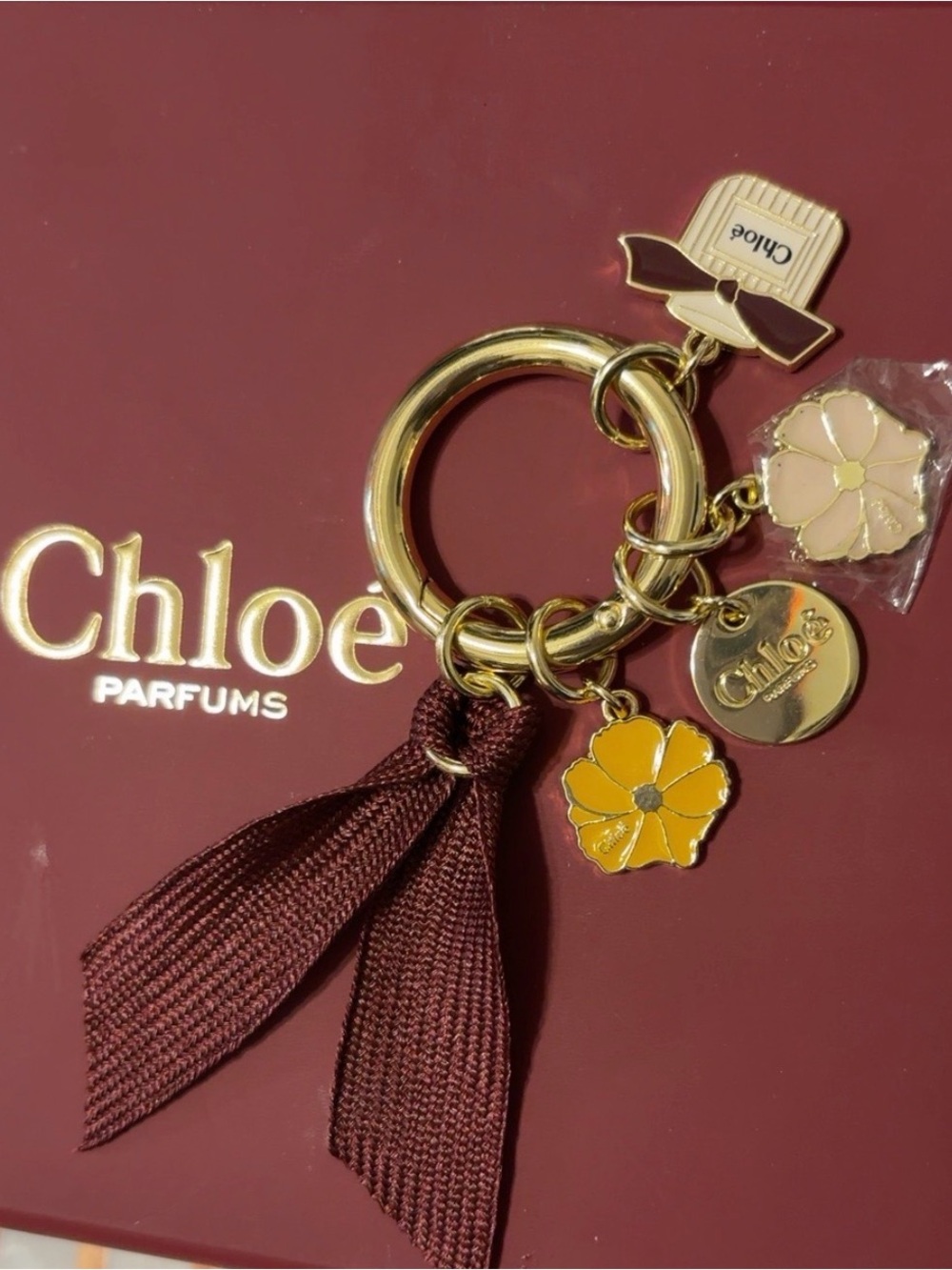 4 Authentic Chloé Charms + FREE Gift